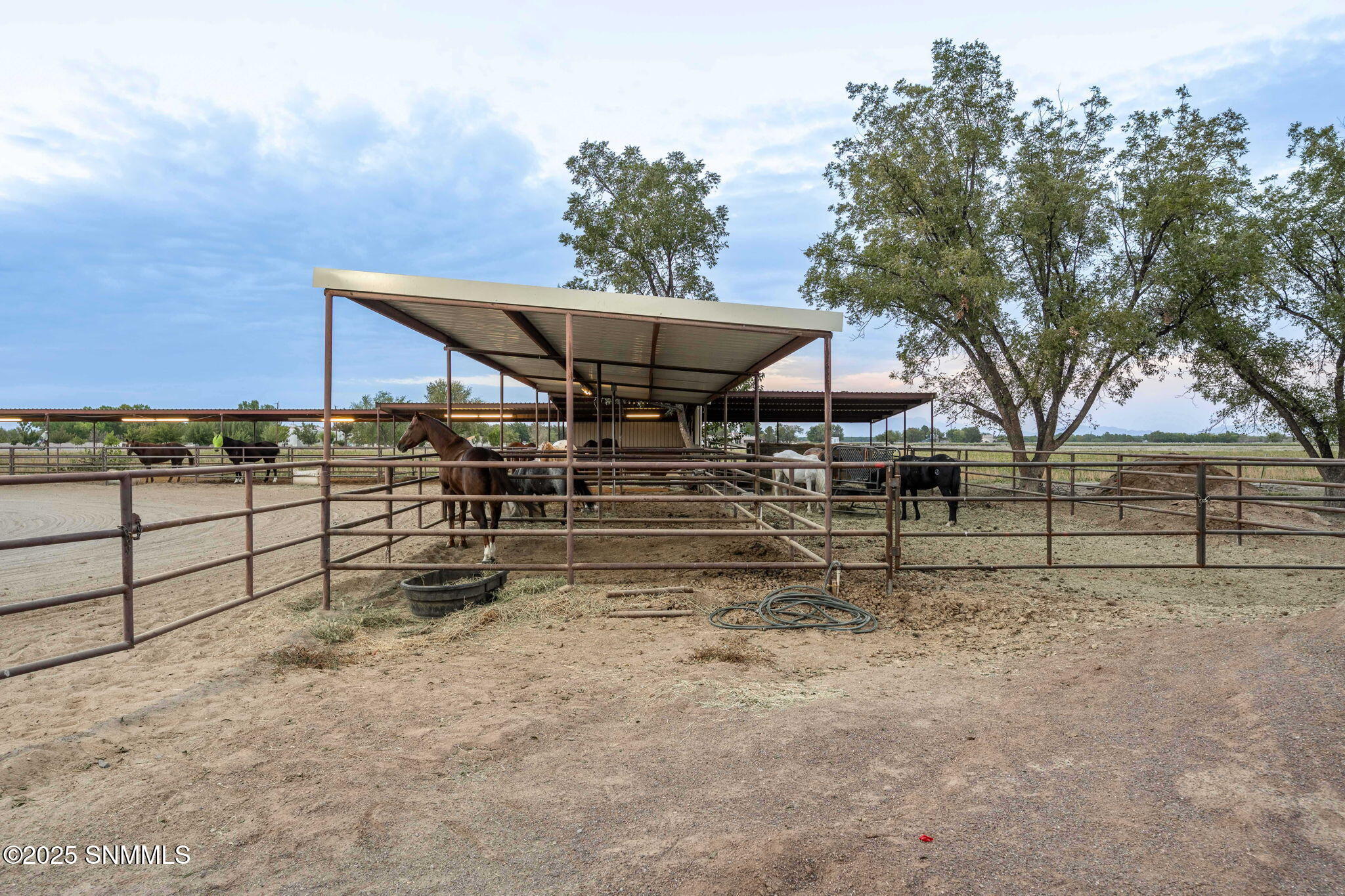 109-web-or-mls-McNutt 7003-109