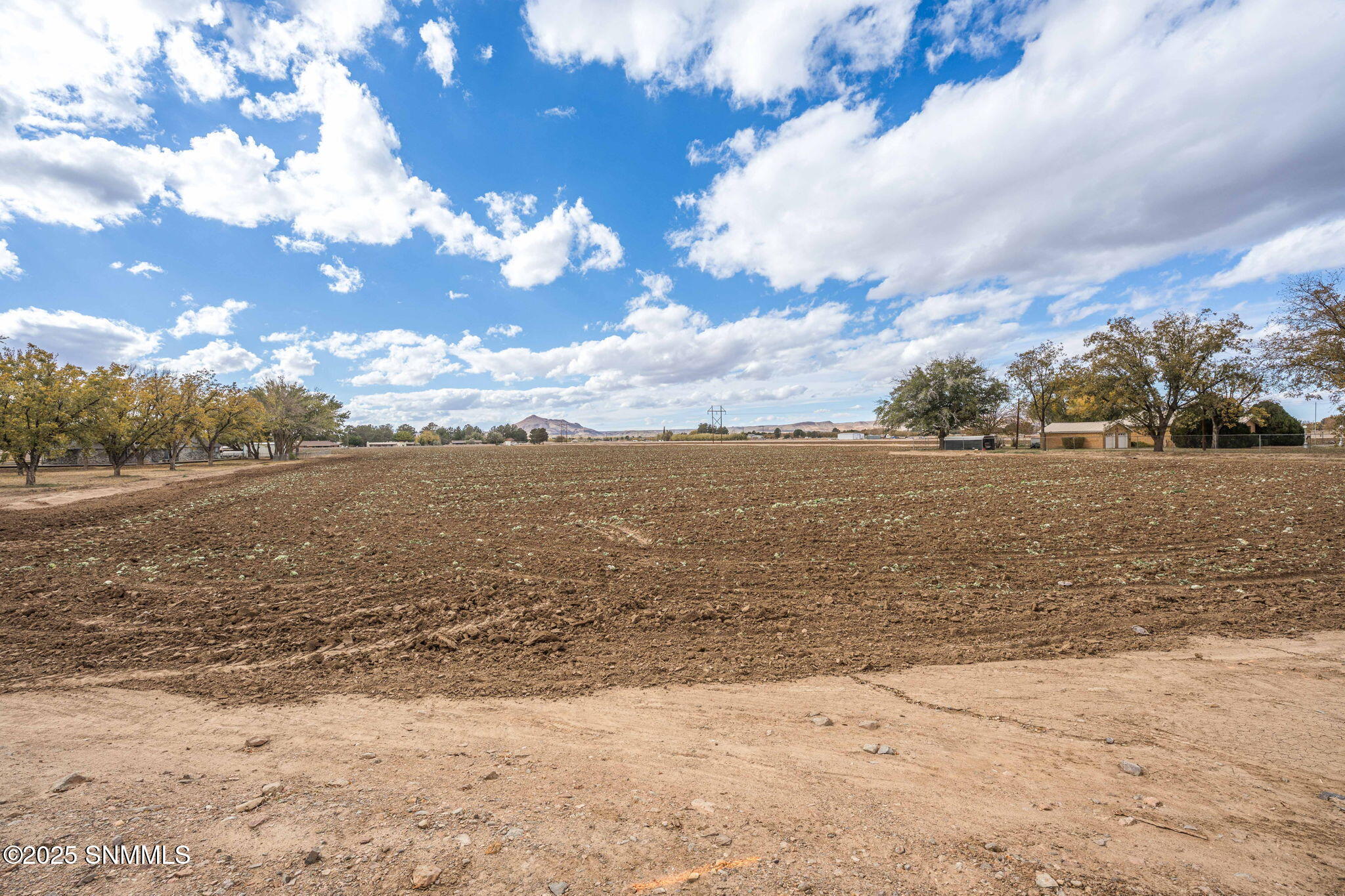 16-web-or-mls-Snappin Homes (R0304979-R0