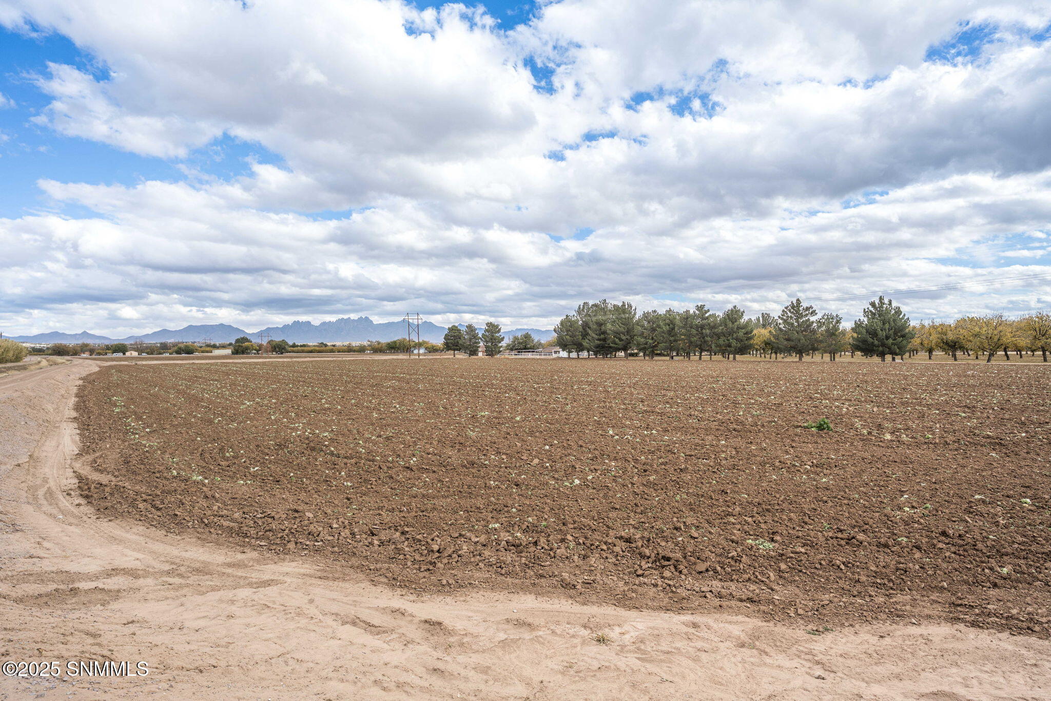17-web-or-mls-Snappin Homes (R0304979-R0