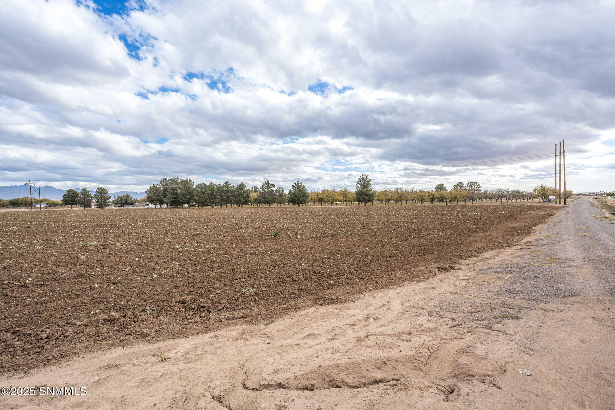 18-web-or-mls-Snappin Homes (R0304979-R0
