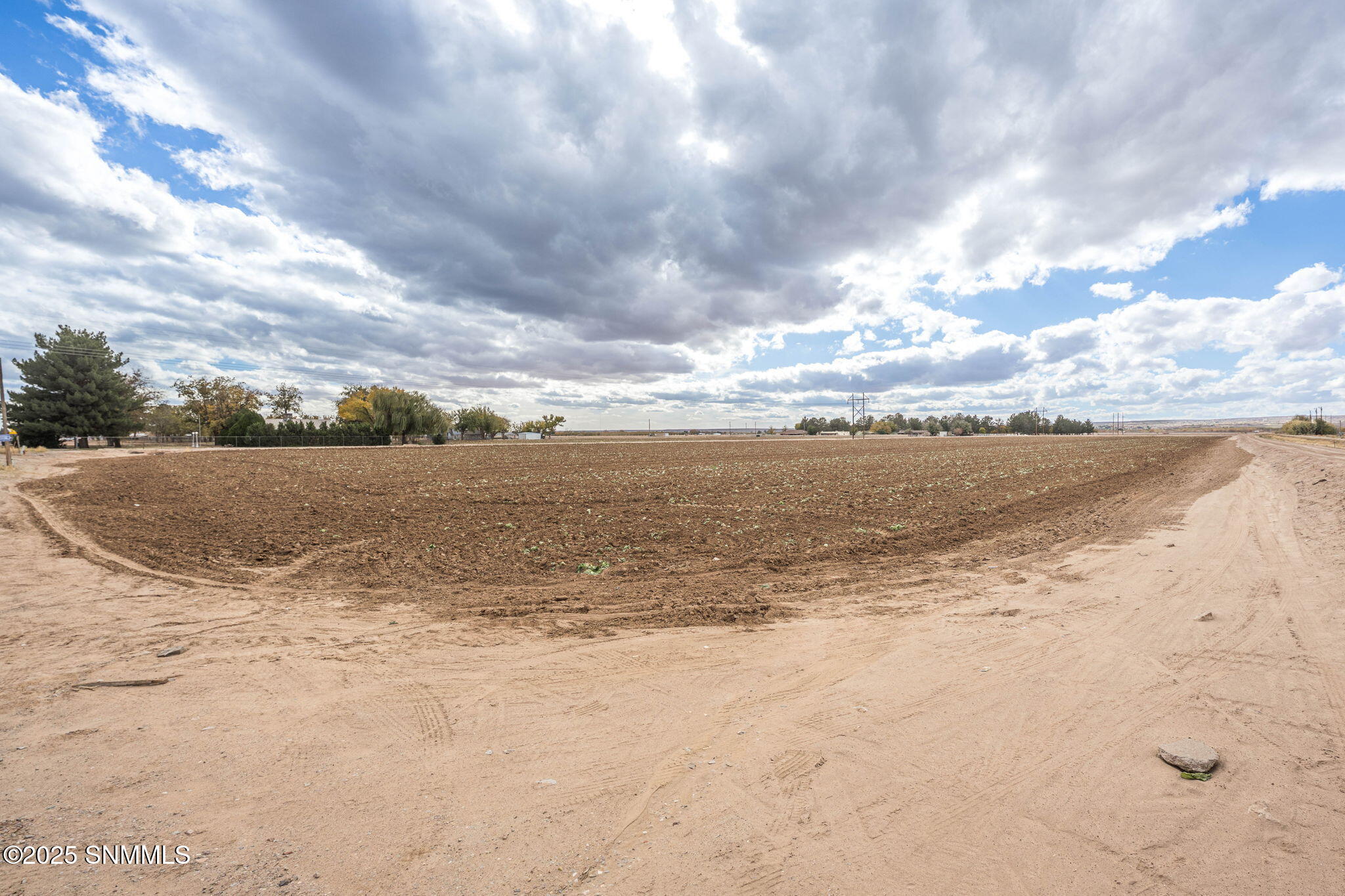 12-web-or-mls-Snappin Homes (R0304979-R0