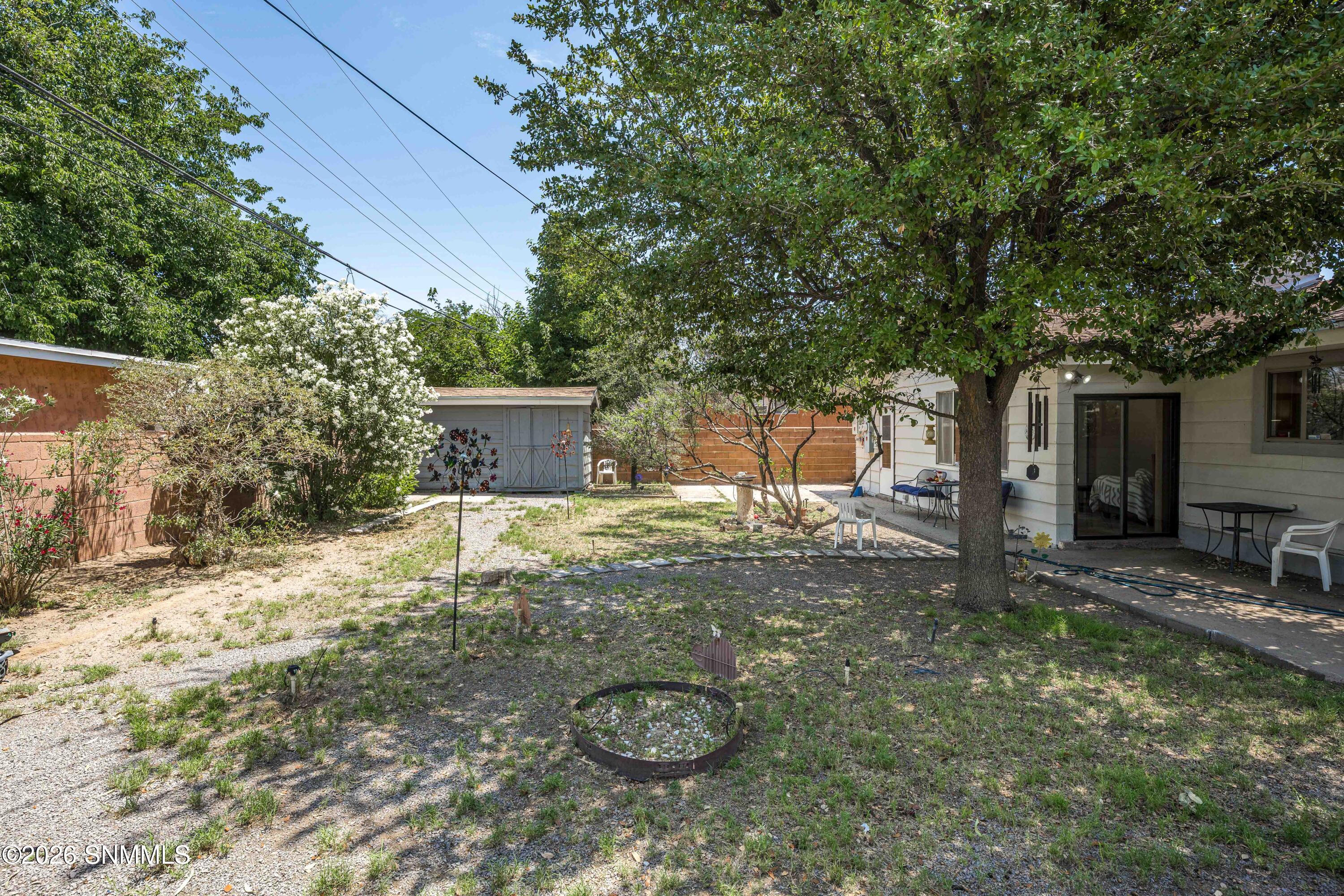 Backyard