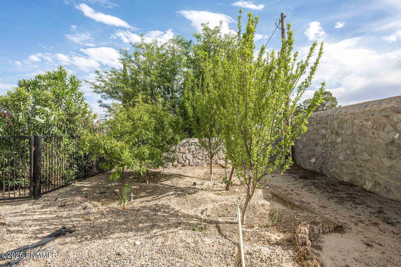 60-Rear SW Corner-1840 Las Tunas Dr