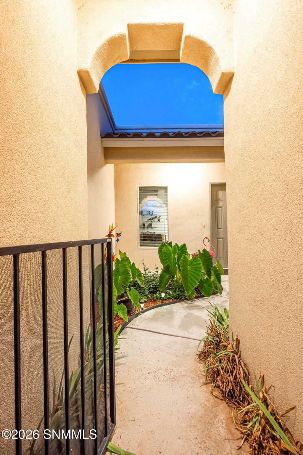 72_Patty Olson_Purple Sage_Las Cruces_Lu
