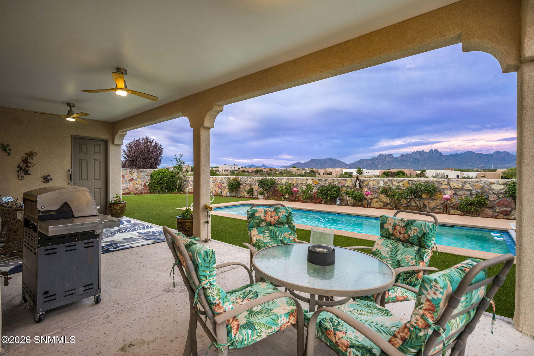 74_Patty Olson_Purple Sage_Las Cruces_Lu