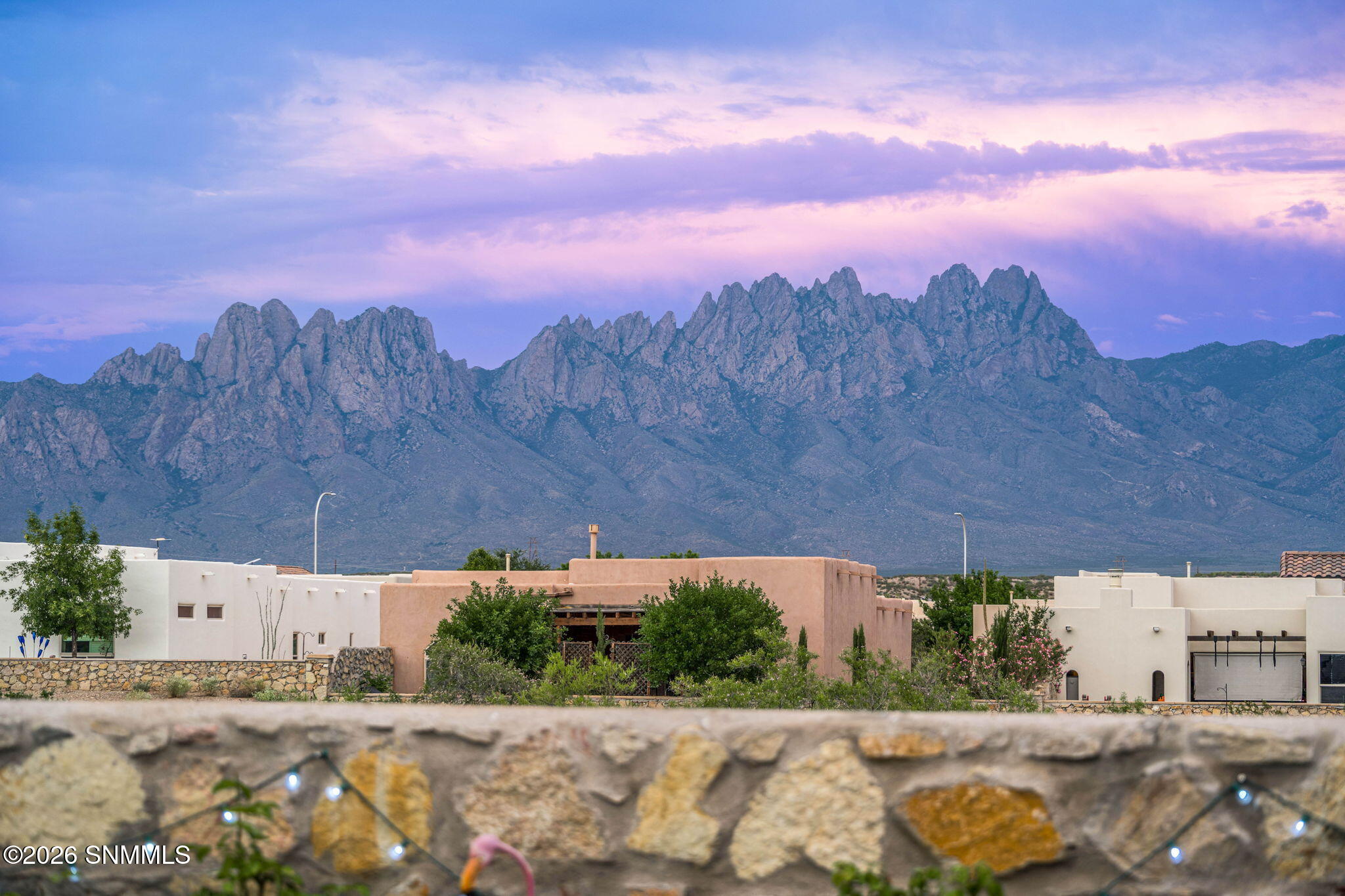 77_Patty Olson_Purple Sage_Las Cruces_Lu