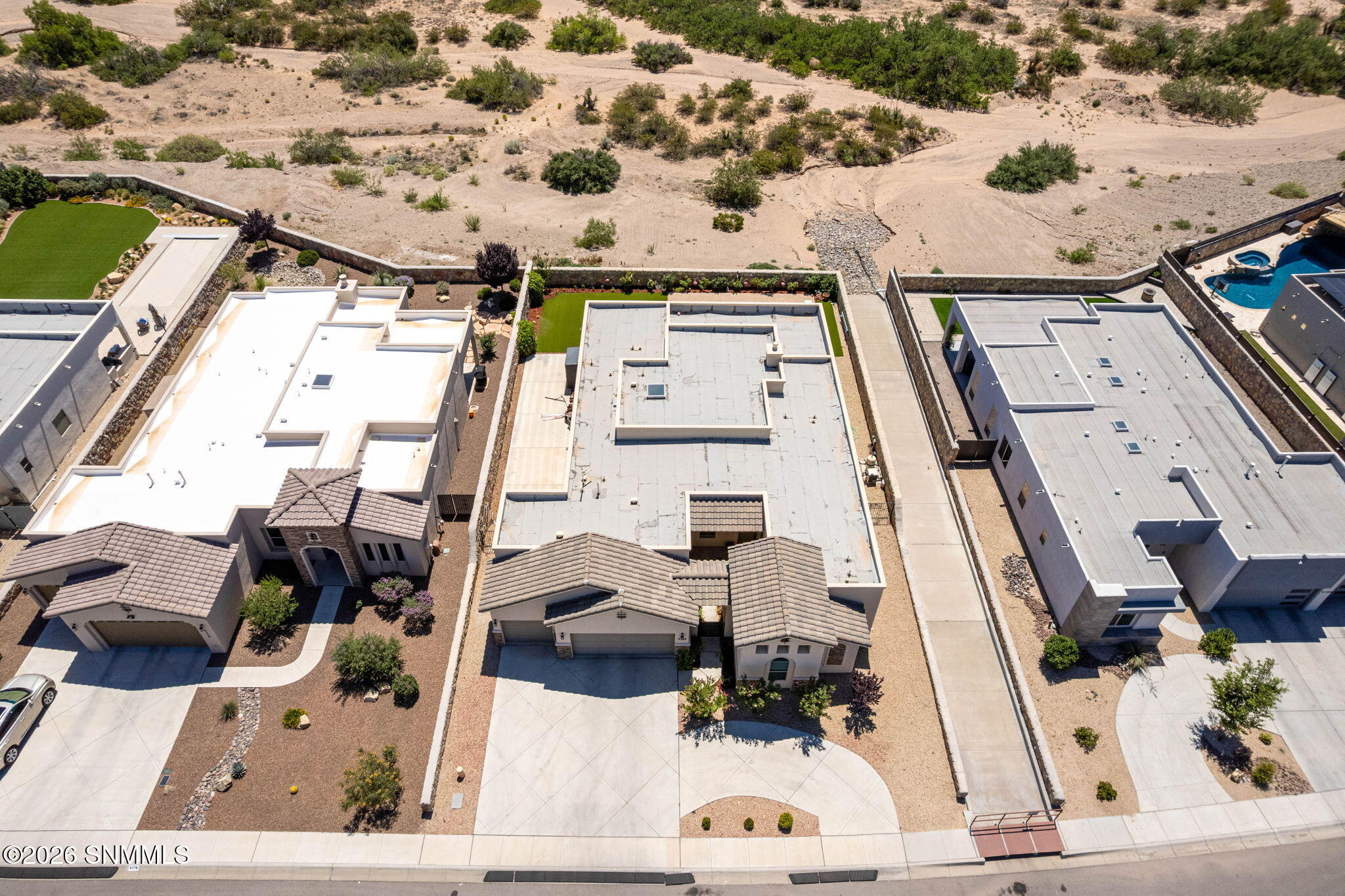 57_Patty Olson_Purple Sage_Las Cruces_Lu