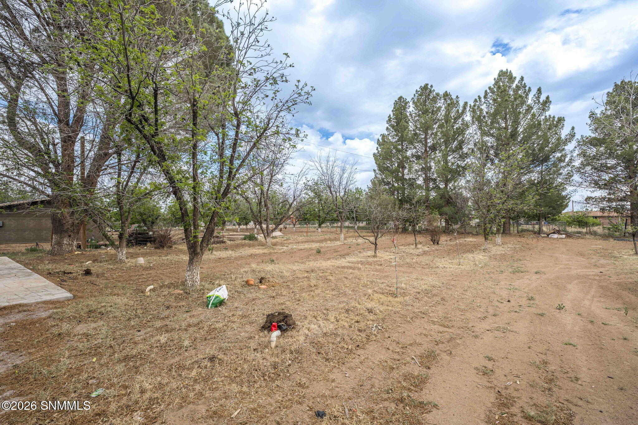 61-web-or-mls-Snappin Homes (LasFlores30