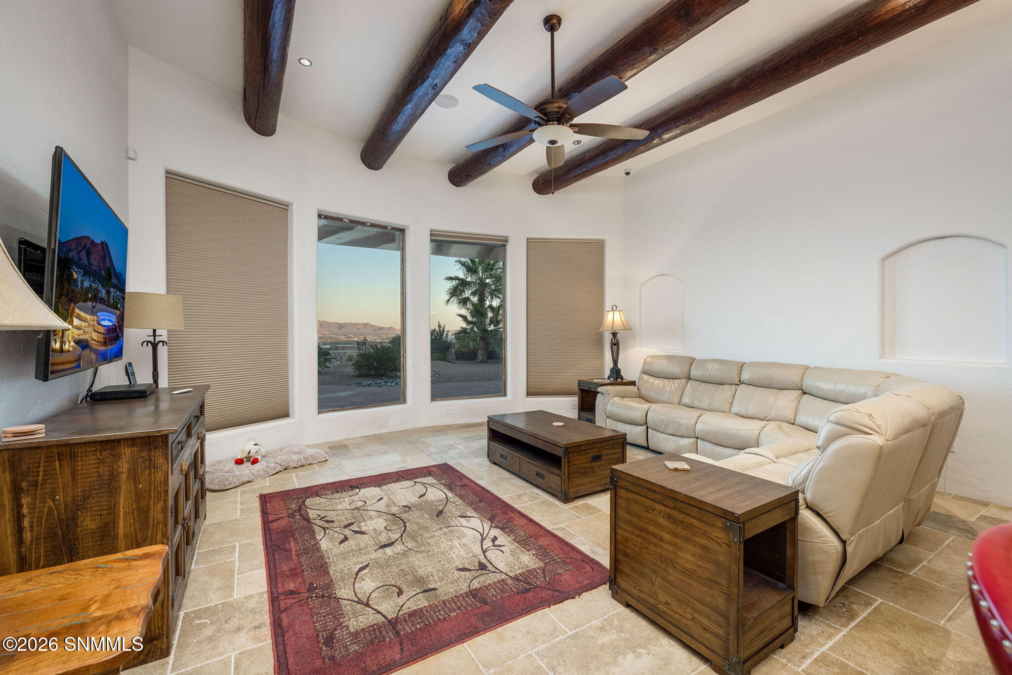 25-web-or-mls-Constitution 8109-25