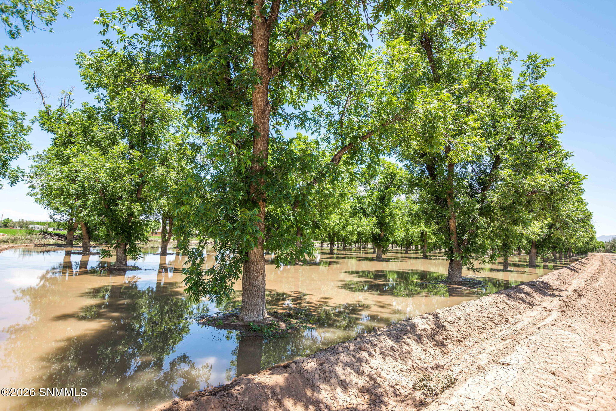 41-web-or-mls-Snappin Homes (Snow2917)-4