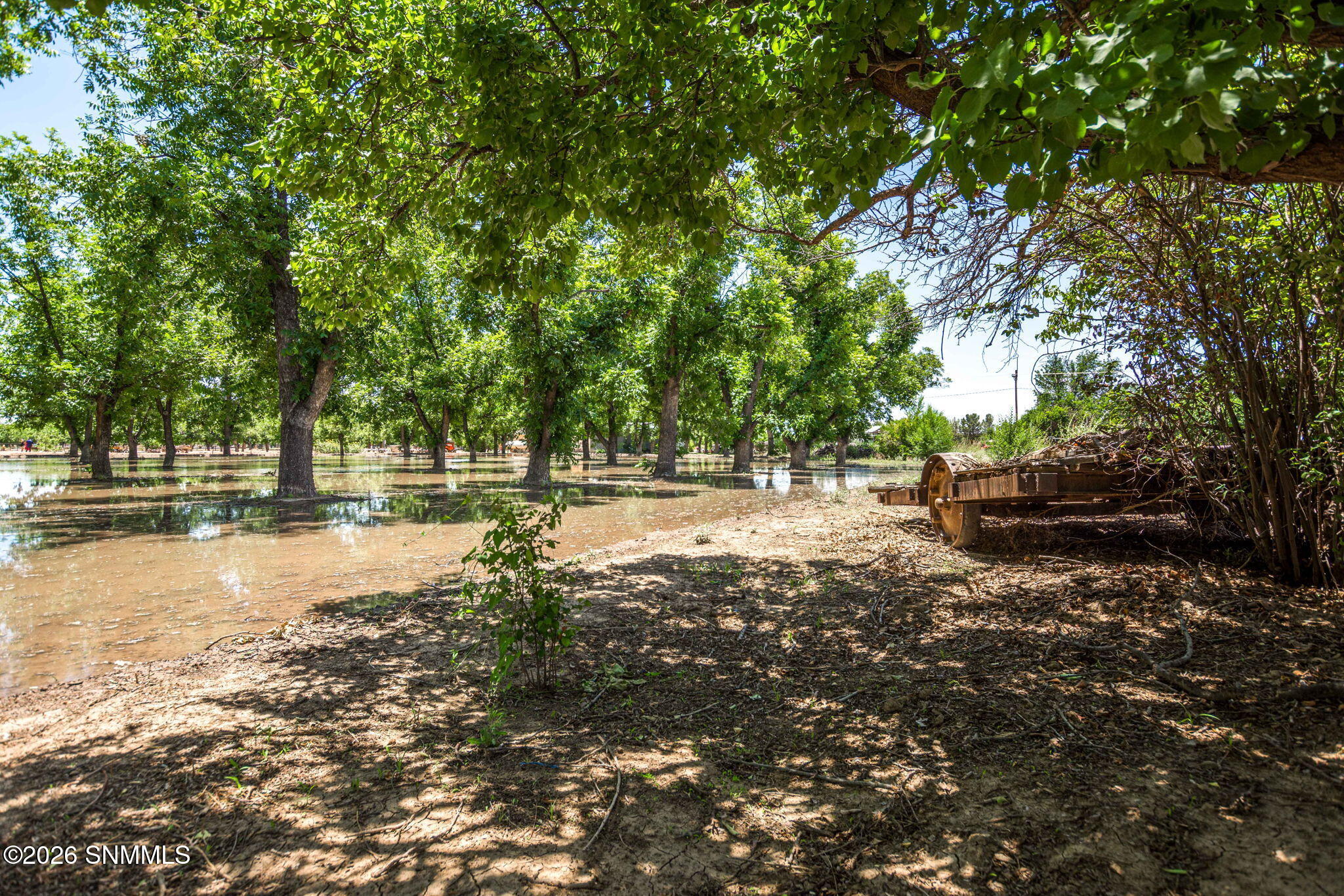 48-web-or-mls-Snappin Homes (Snow2917)-4