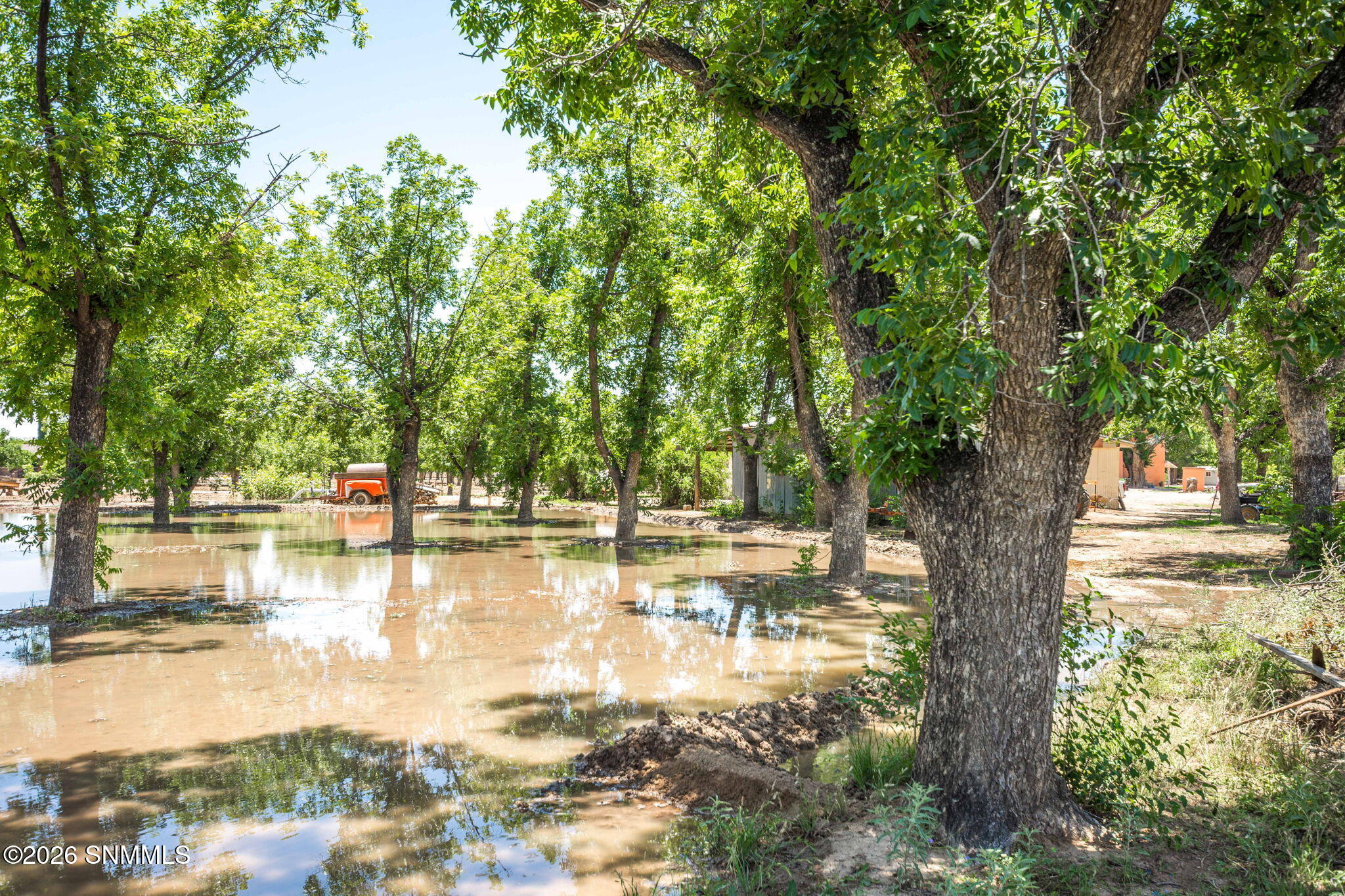 49-web-or-mls-Snappin Homes (Snow2917)-4