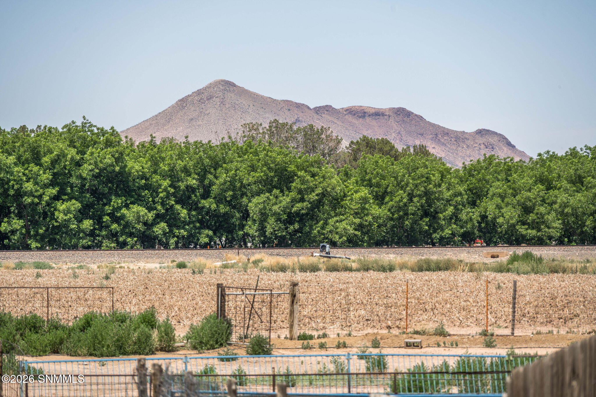 42-web-or-mls-Snappin Homes (DonaAna3125
