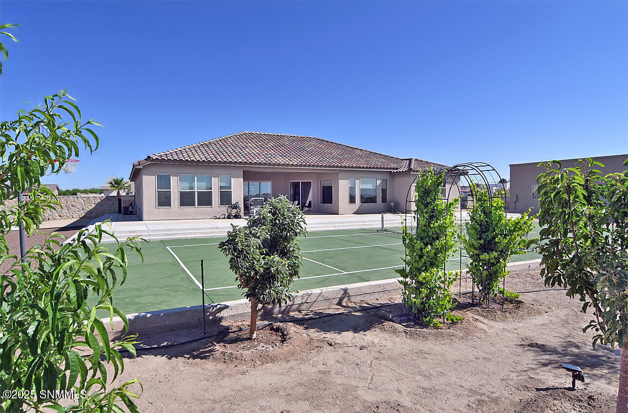 Back Yard