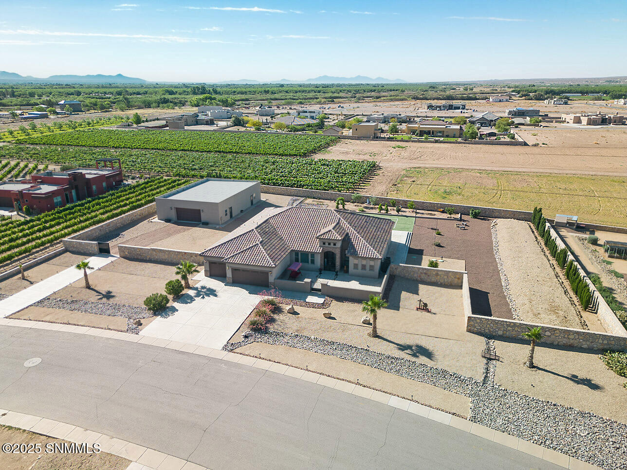 Drone View