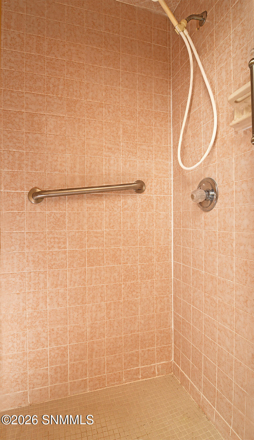 Primary Shower