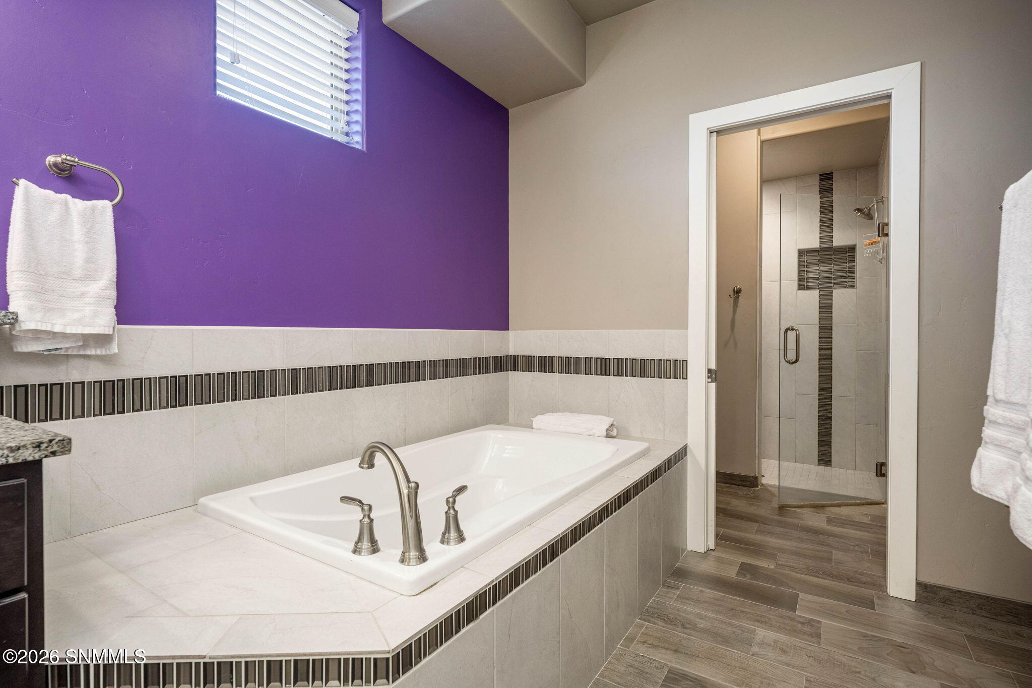 Primary Bathroom 3