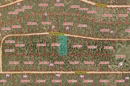 TBD Bronwood Dr, Timberon, New Mexico 88350, ,Land,For Sale,Bronwood Dr,2602067