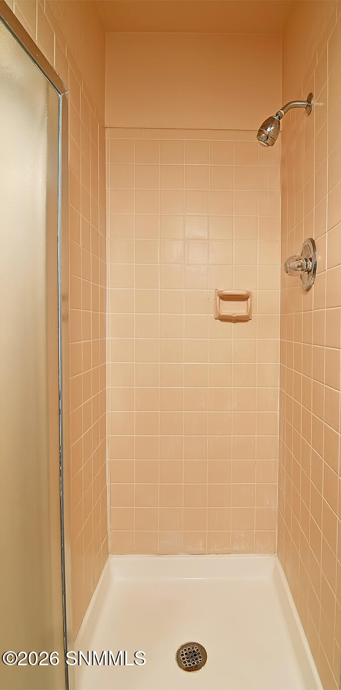 Primary Shower