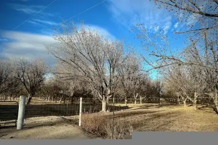 TBA Highway 259, Anthony, New Mexico 88021, ,Farm,For Sale,Highway 259,2601022