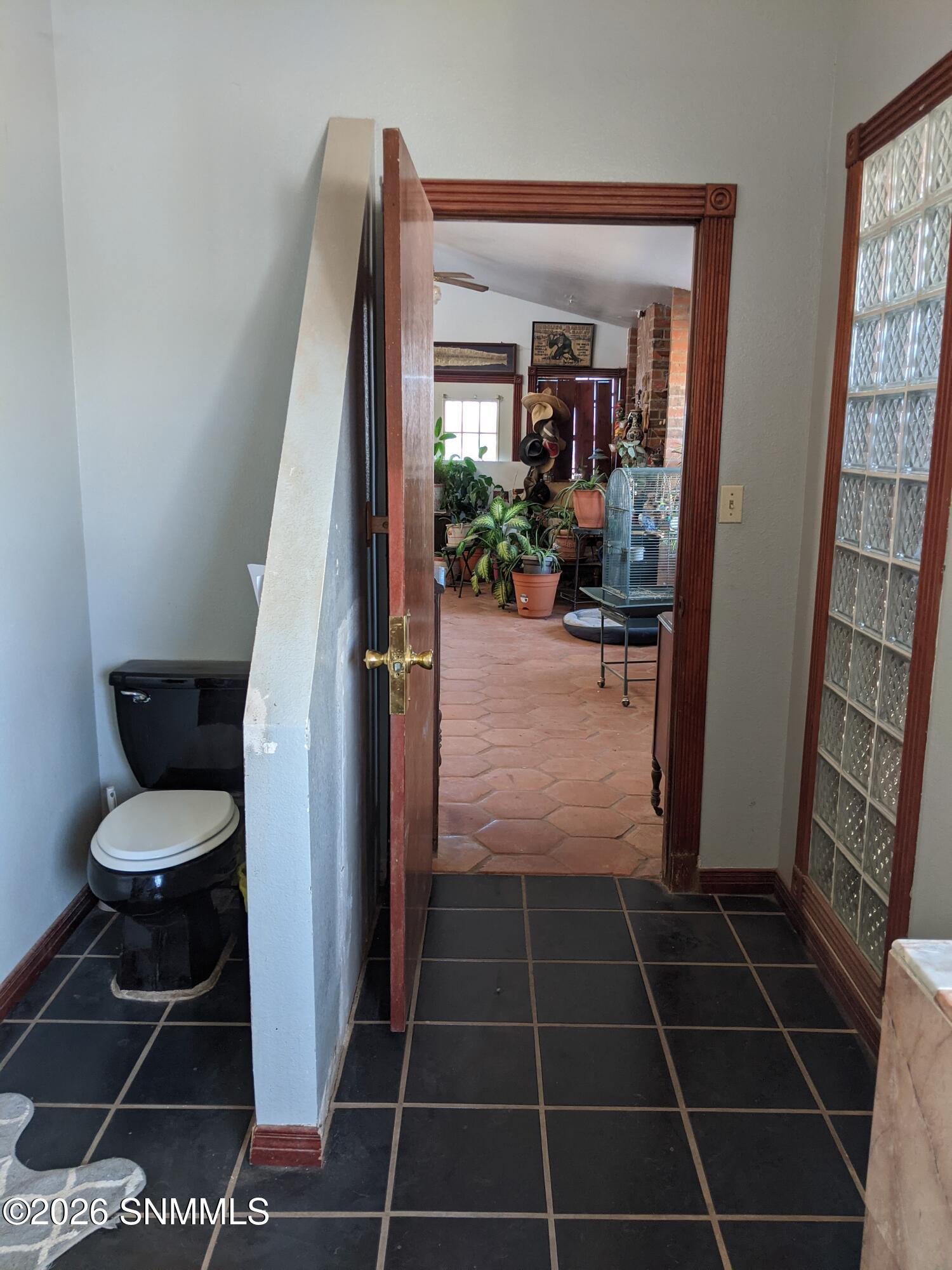 PXL_20210318_161552255