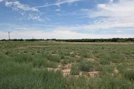 6525 Valle Del Rio Drive, La Mesa, New Mexico 88044, ,Land,For Sale,Valle Del Rio,2602139