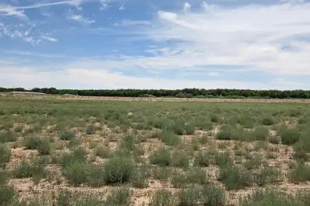 6525 Valle Del Rio Drive, La Mesa, New Mexico 88044, ,Land,For Sale,Valle Del Rio,2602140