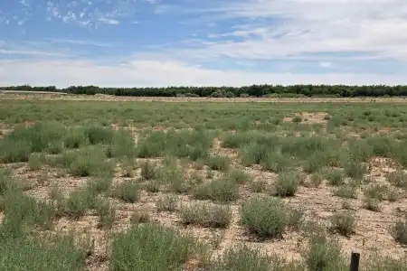 6525 Valle Del Rio Drive, La Mesa, New Mexico 88044, ,Land,For Sale,Valle Del Rio,2602141