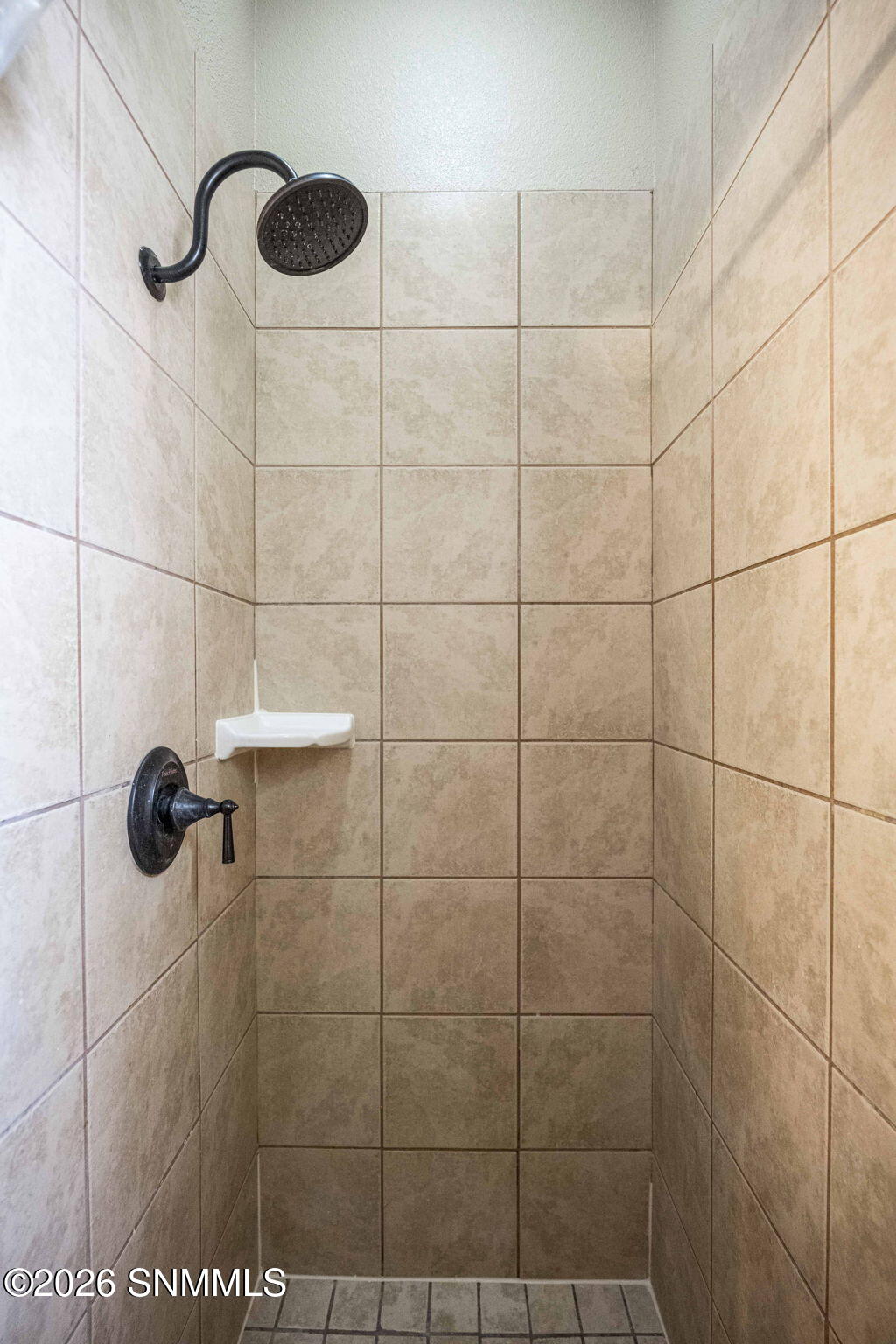 27-web-or-mls-Snappin Homes (Clovis9124)