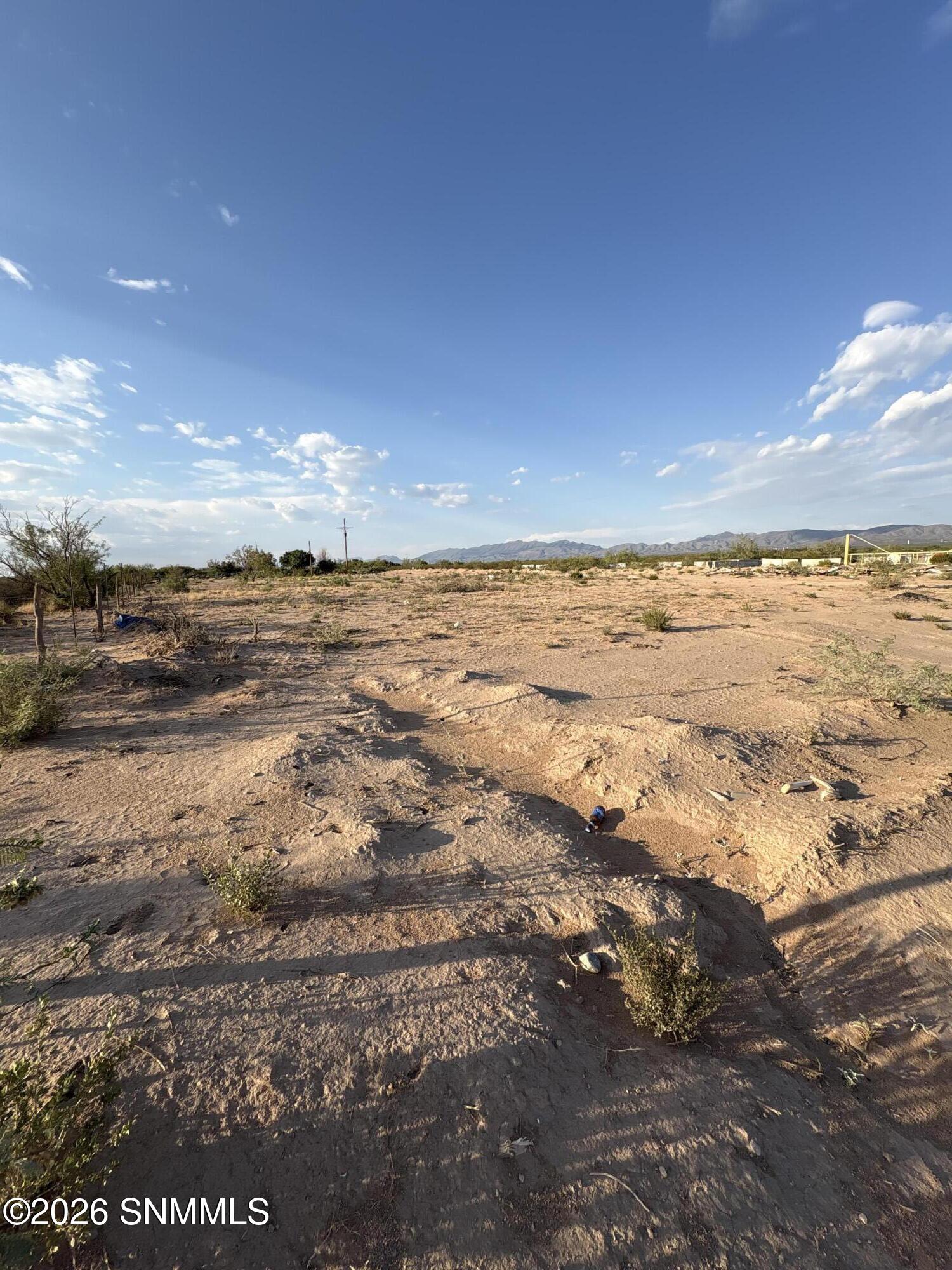 1st Acre View