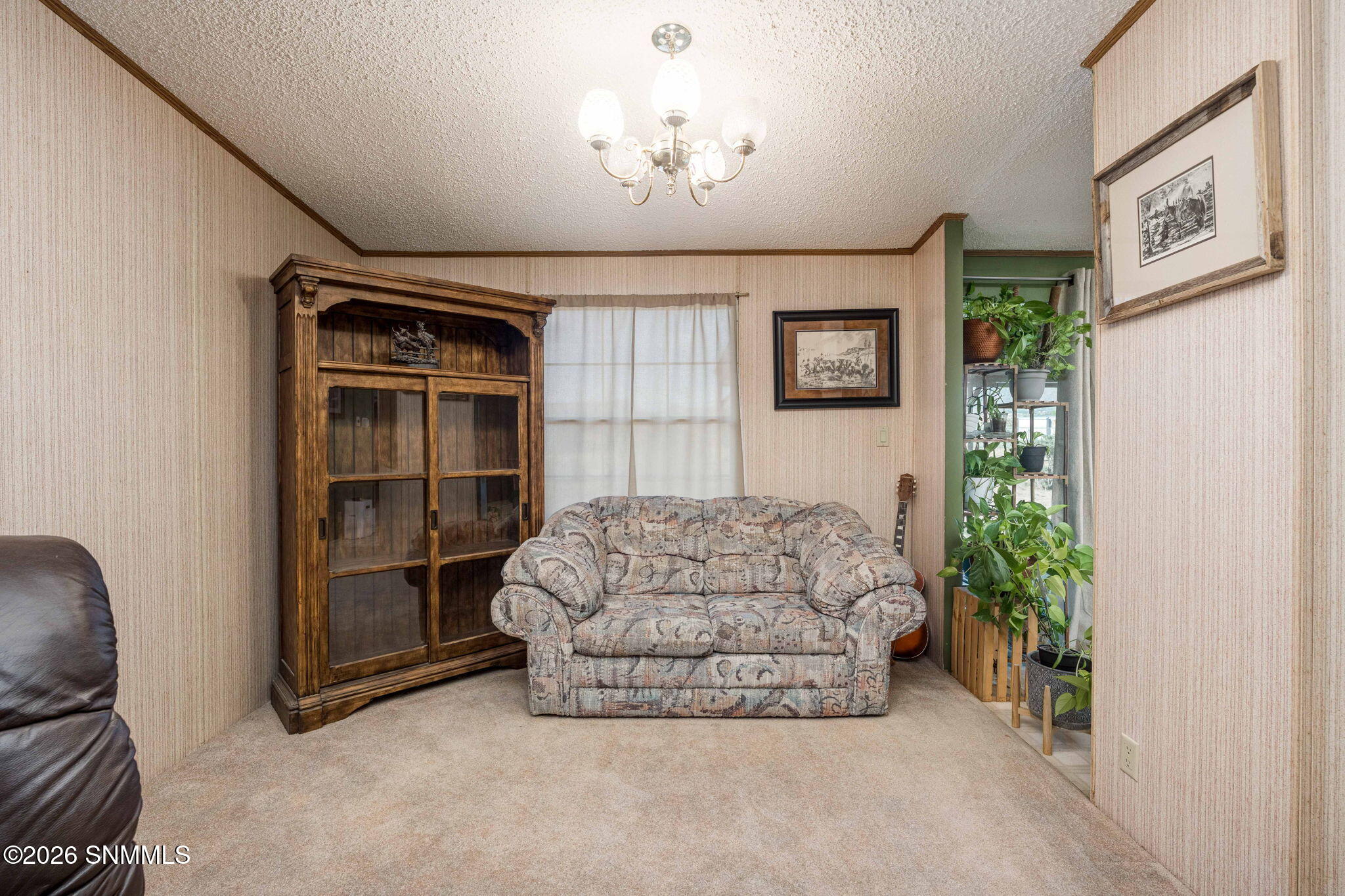8-web-or-mls-Snappin Homes (Spur9825)-8