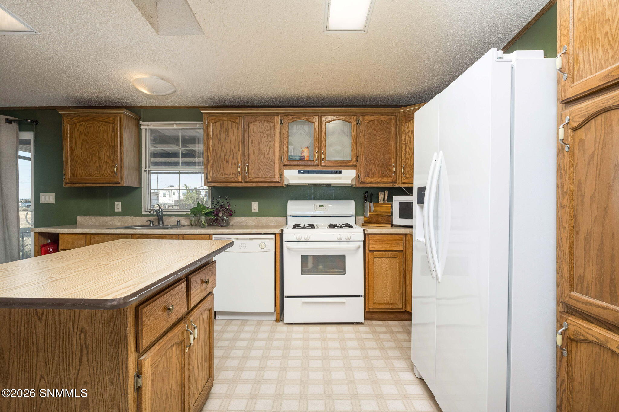 13-web-or-mls-Snappin Homes (Spur9825)-1