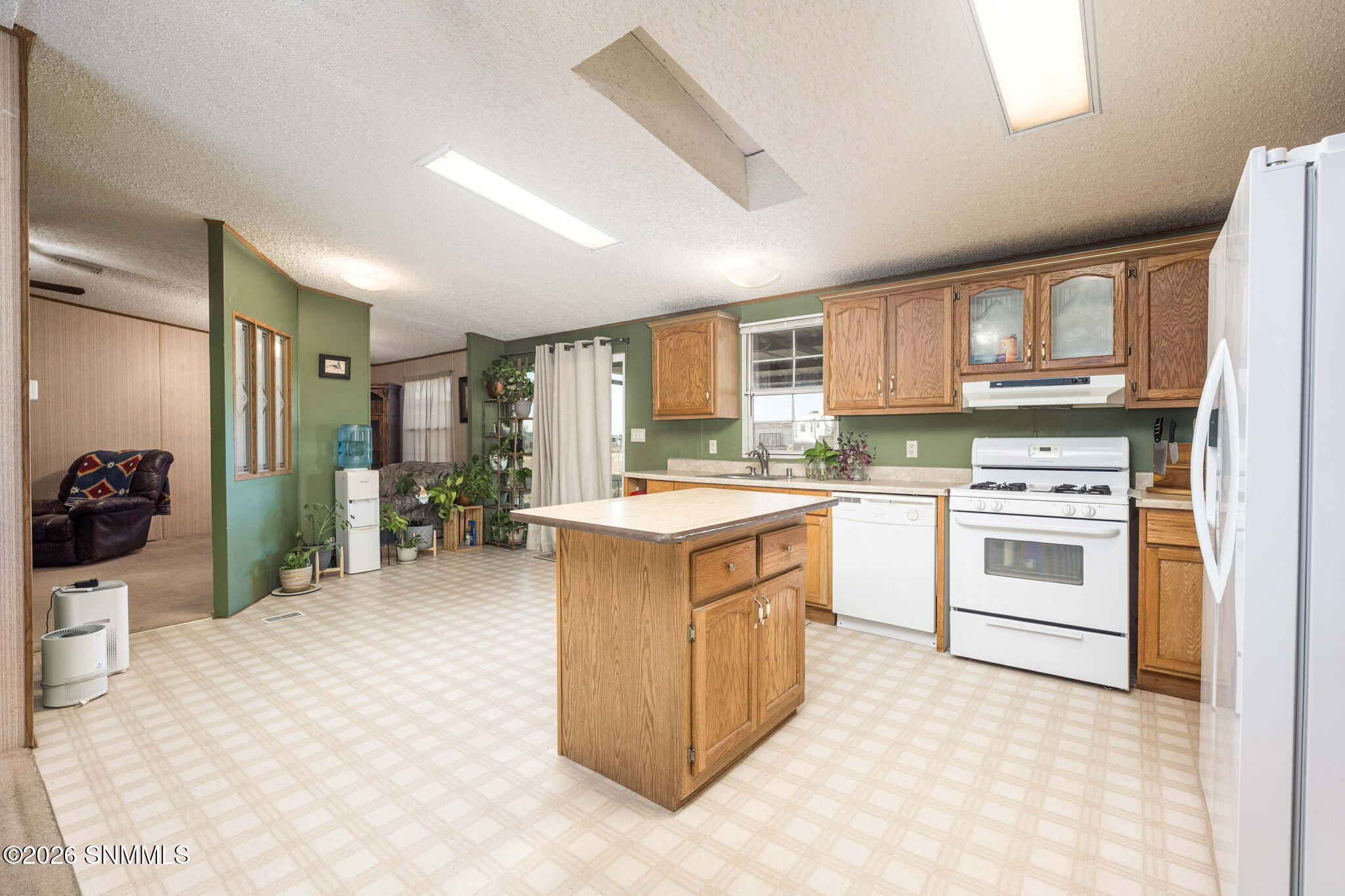 14-web-or-mls-Snappin Homes (Spur9825)-1