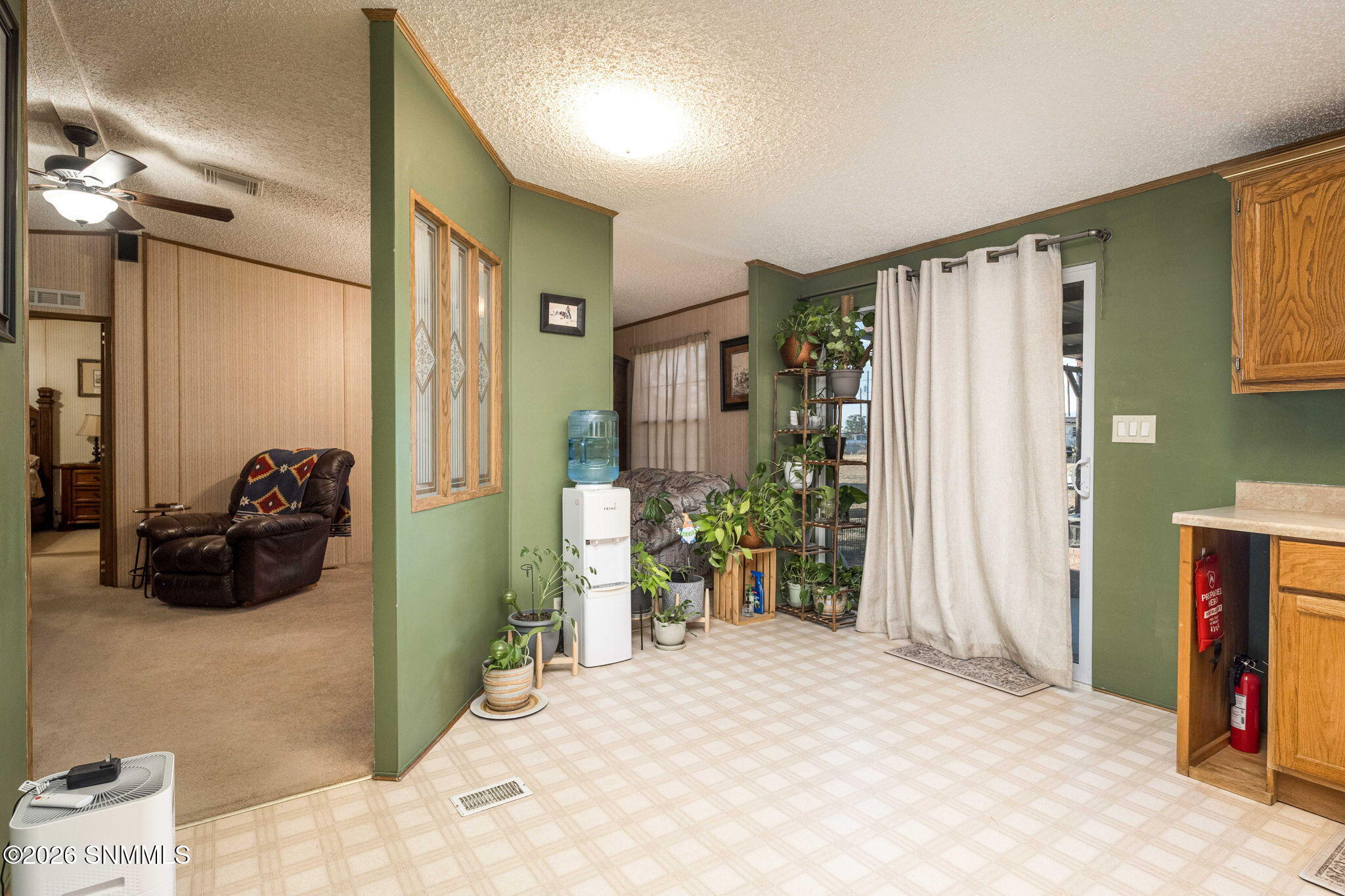 15-web-or-mls-Snappin Homes (Spur9825)-1