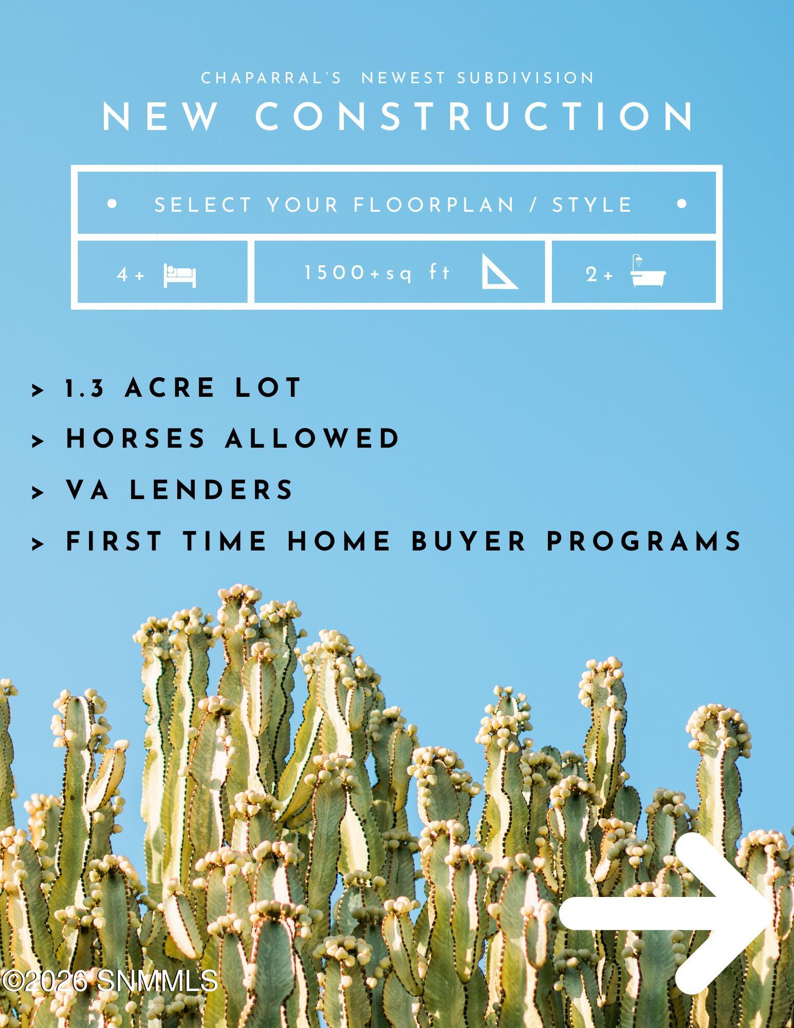 1.3 Acre New Construction (1)