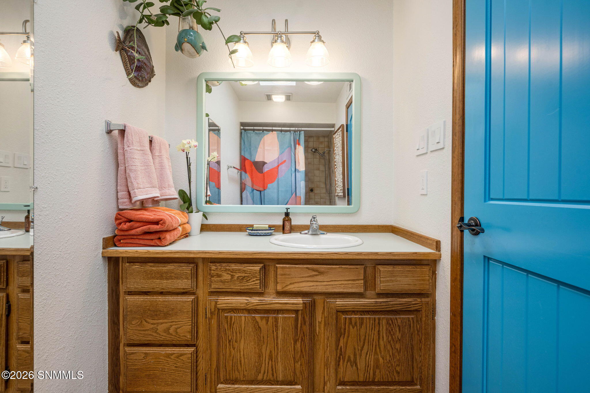 28-web-or-mls-Snappin Homes (Sotol4155)-