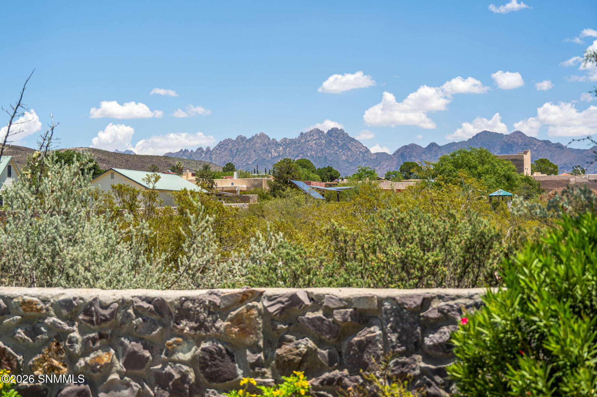 38-web-or-mls-Snappin Homes (Sotol4155)-