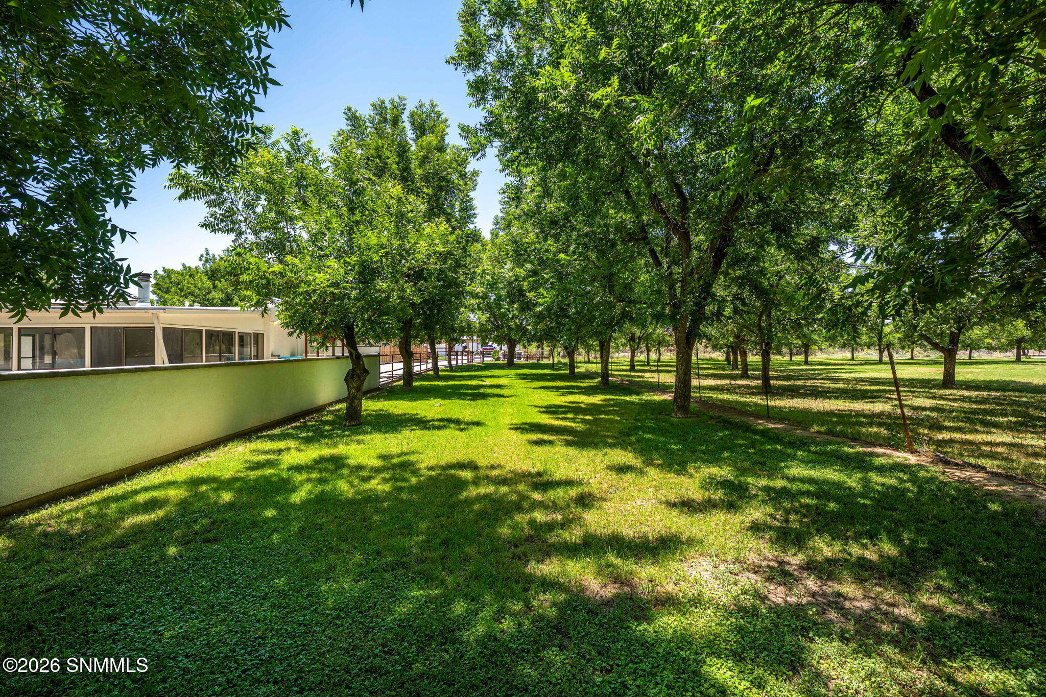 51-web-or-mls-Snappin Homes (Taylor651)-