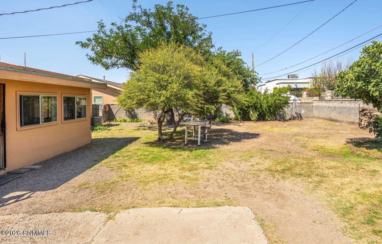 backyard 1