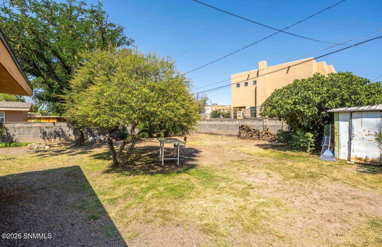 backyard 2
