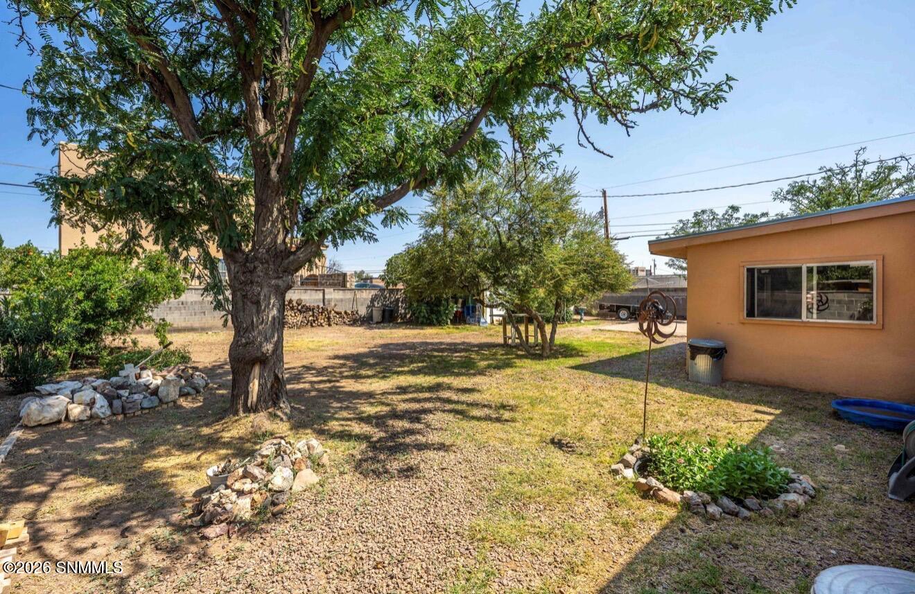 backyard 3