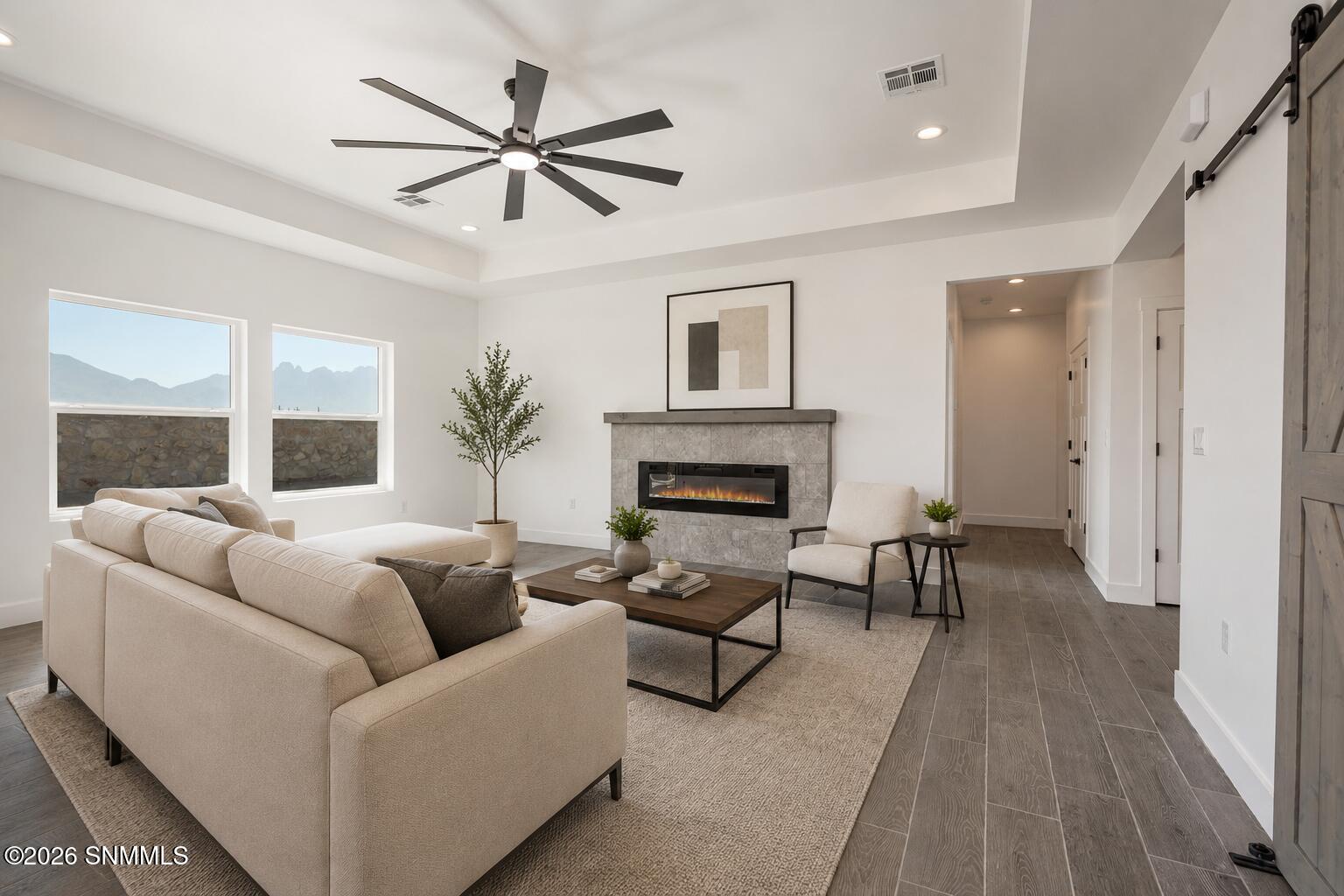 Living Area - Virtually Staged