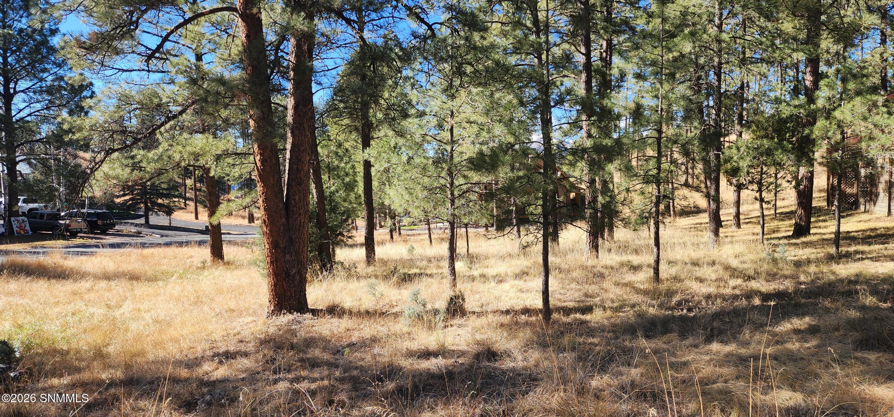 604 White Mountain Meadows