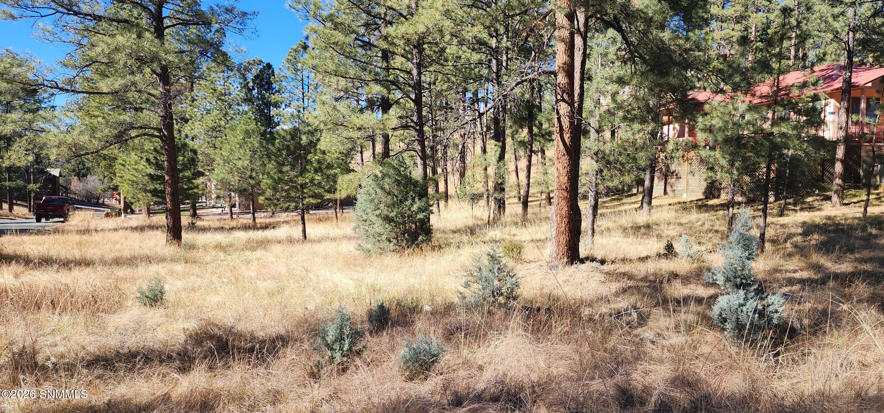 604 White Mountain Meadows