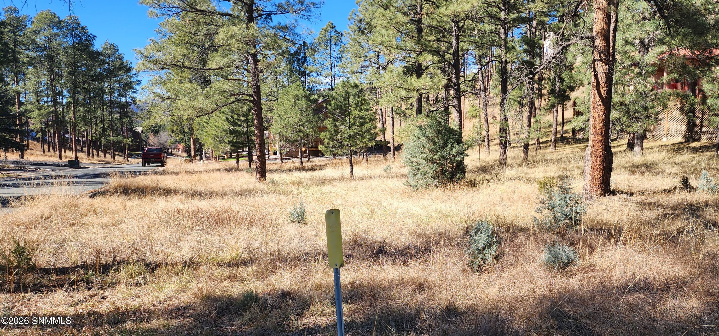 604 White Mountain Meadows