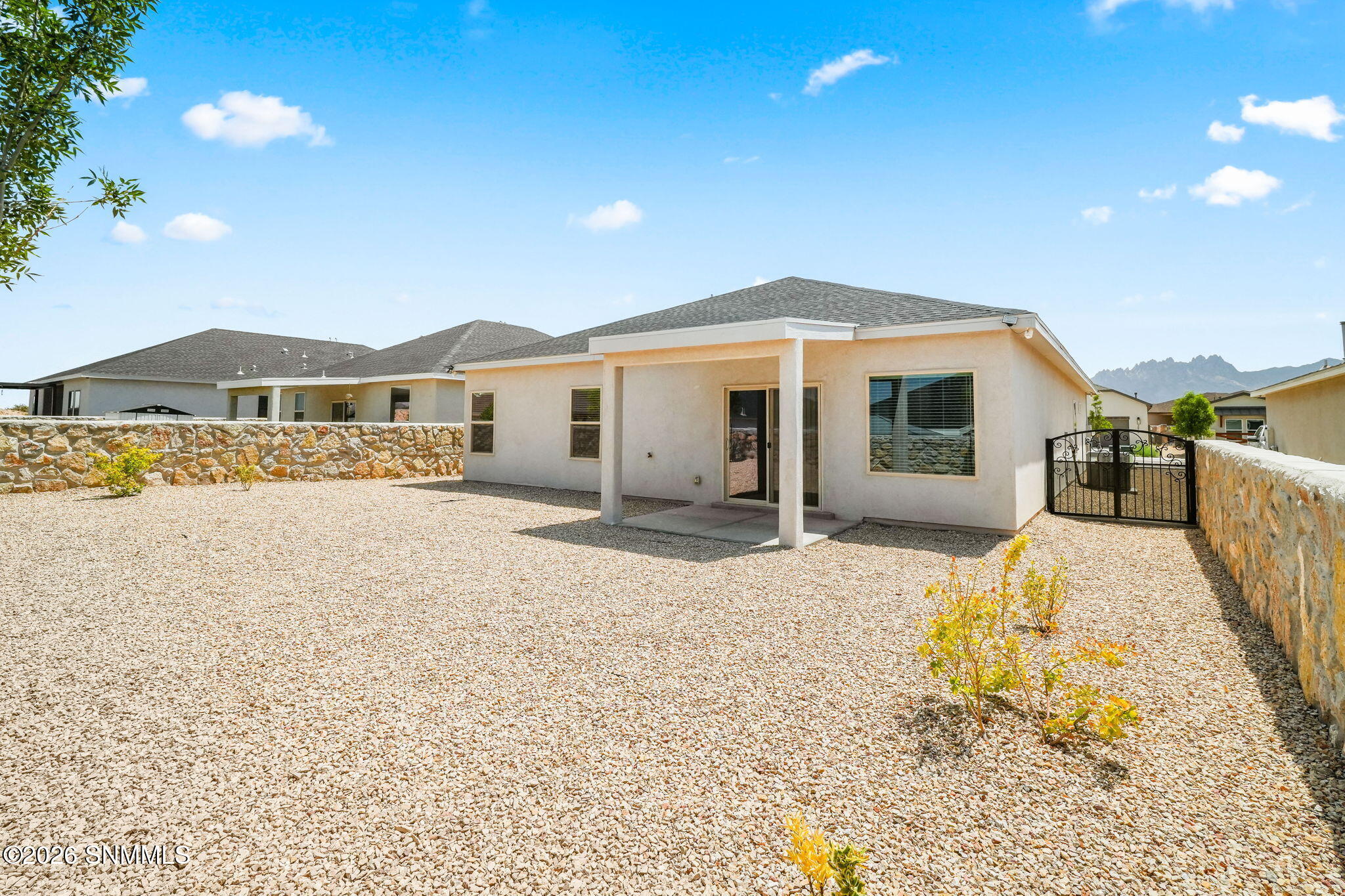 2653 Blue Heron-37