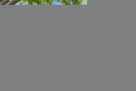 2857 San Miguel Court, Las Cruces, New Mexico 88007, 3 Bedrooms Bedrooms, ,2 BathroomsBathrooms,Residential,For Sale,San Miguel,2602335