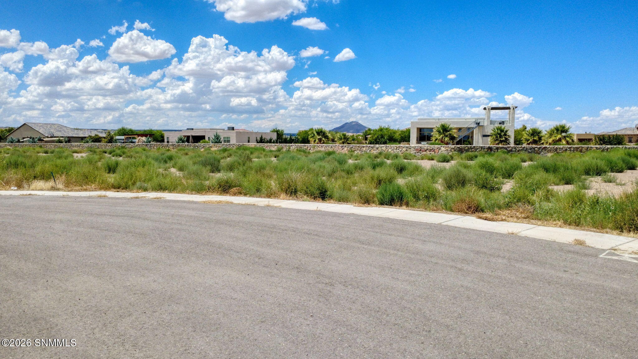 36-web-or-mls-DJI_0357