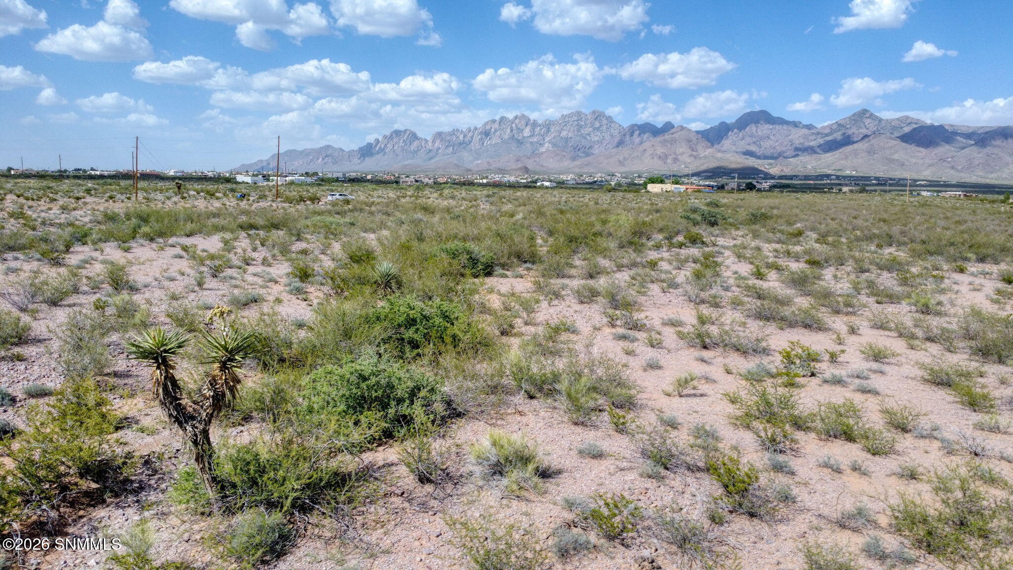15-web-or-mls-DJI_0949