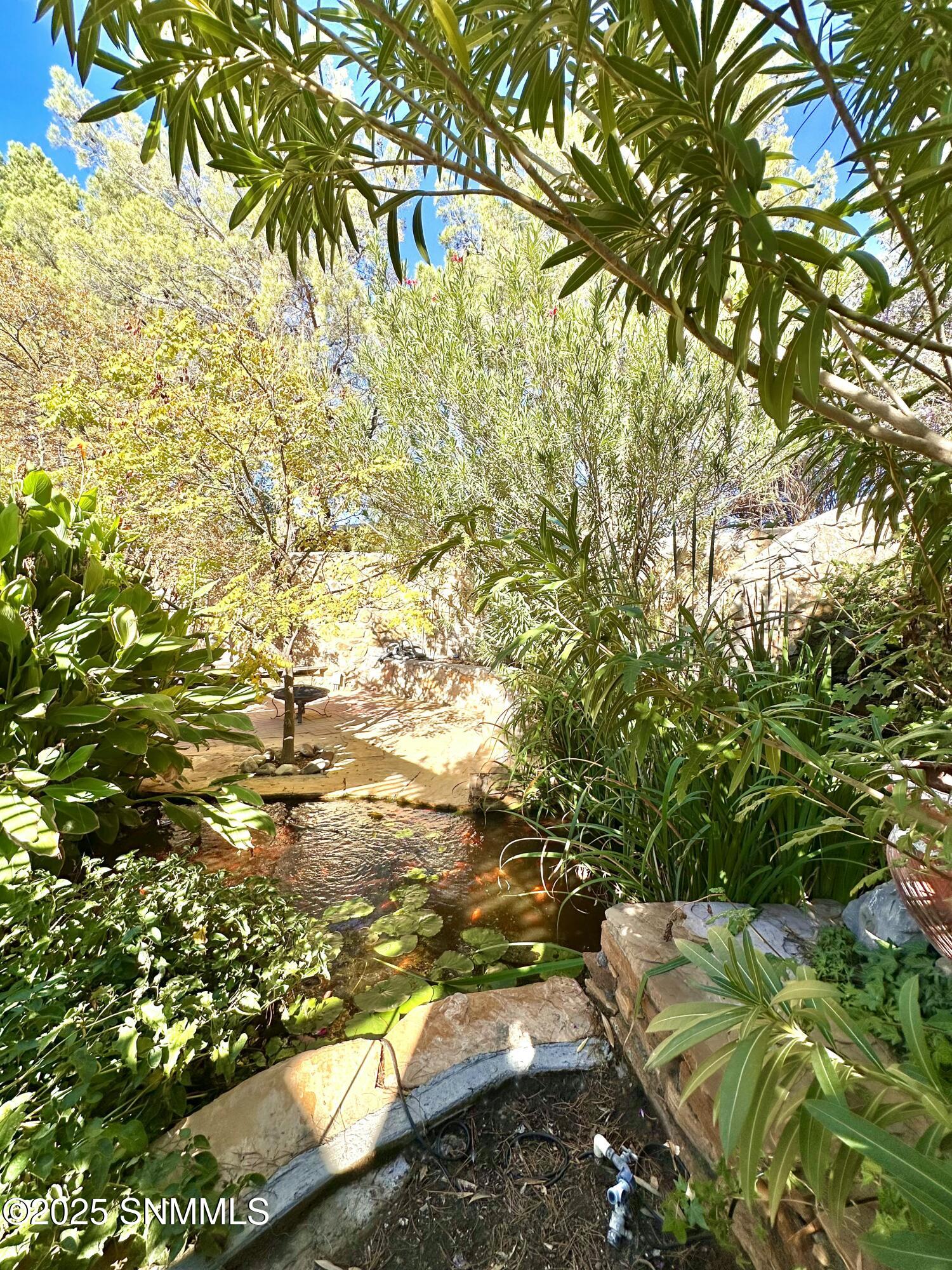X8WF1WaterfallpondlookingNE